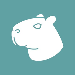 Логотип Capybara VPN