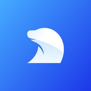 Логотип Nerp VPN