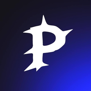 Логотип Privata VPN